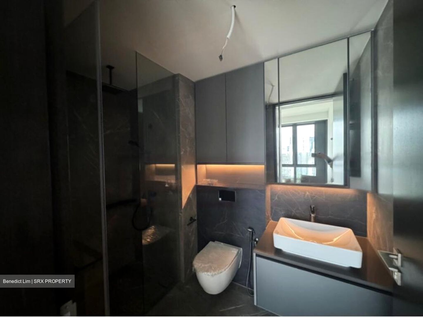 Irwell Hill Residences (D9), Apartment #450301951